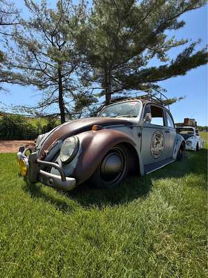 1965 Volkswagen Beetle - 1.8T Dune Hatchback 2D