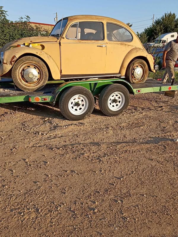1969 Volkswagen Beetle - 1.8T Hatchback 2D