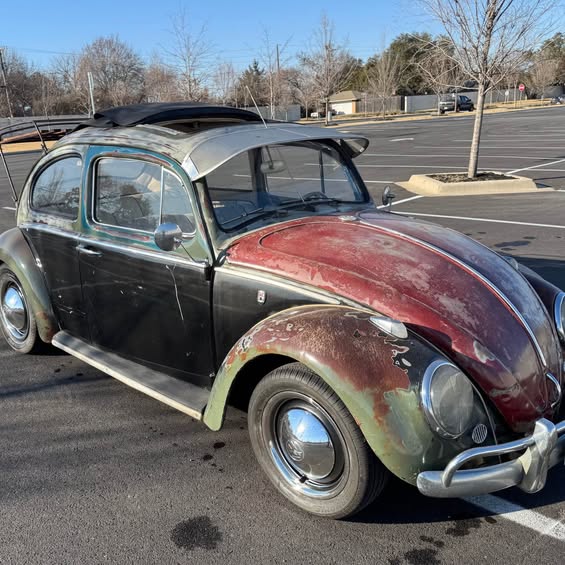 1960 Volkswagen Beetle - 1.8T Classic Hatchback 2D