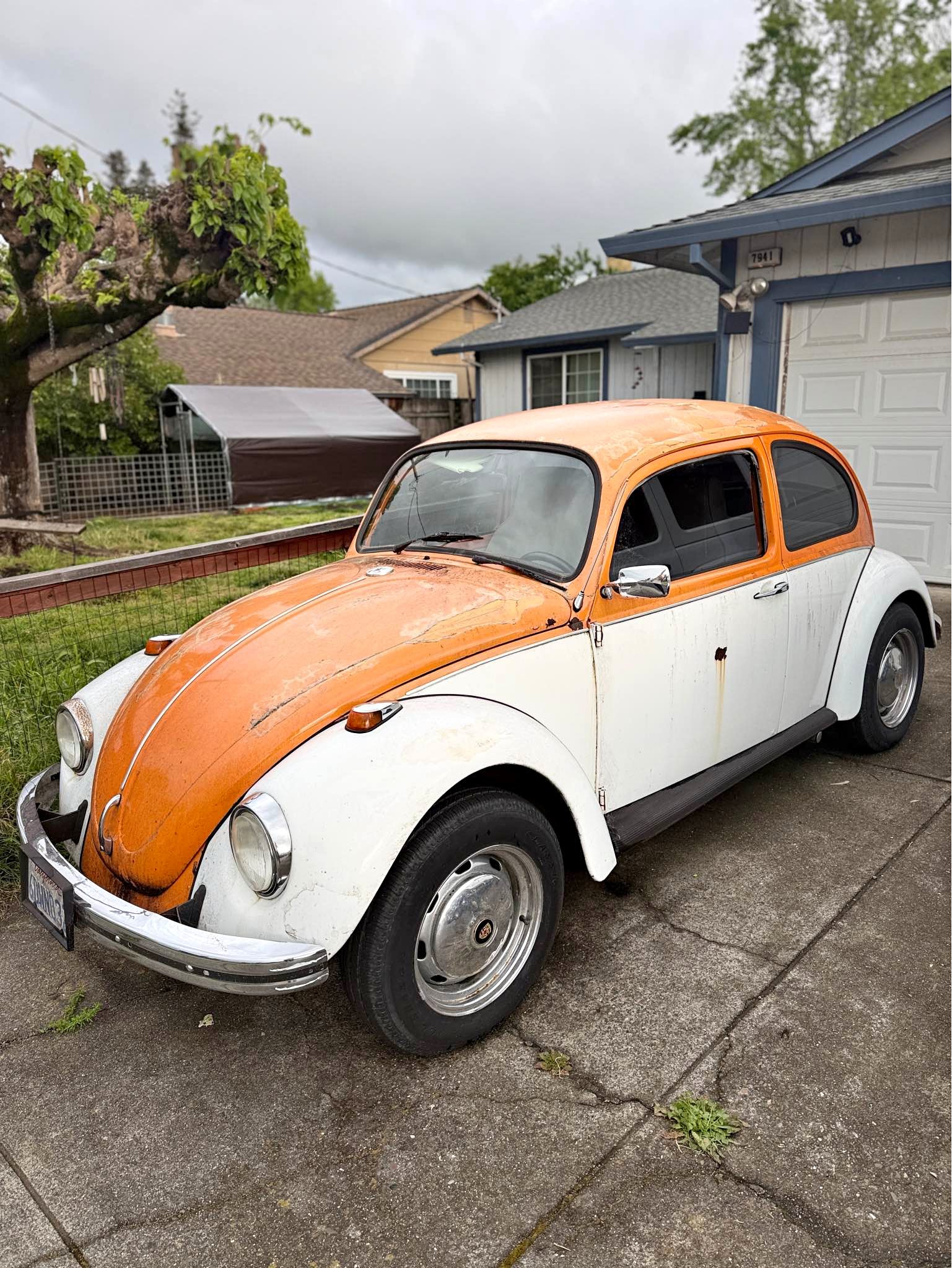 1969 Volkswagen Beetle - Other