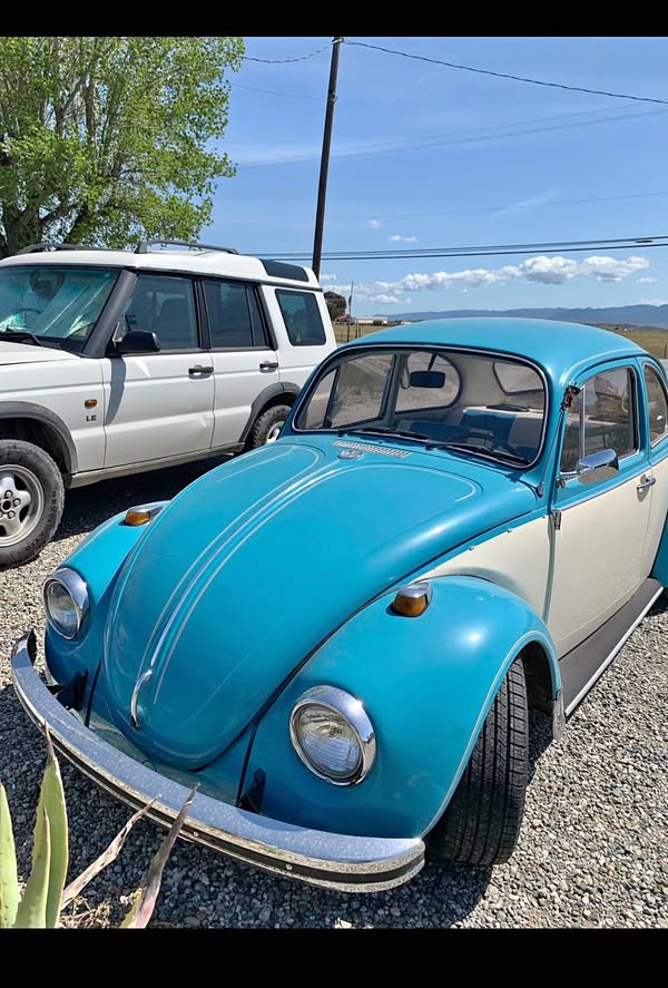 1968 Volkswagen Beetle - Chrome trim