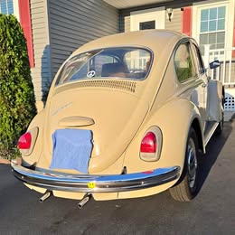 1969 Volkswagen Volkswagen+Beetle