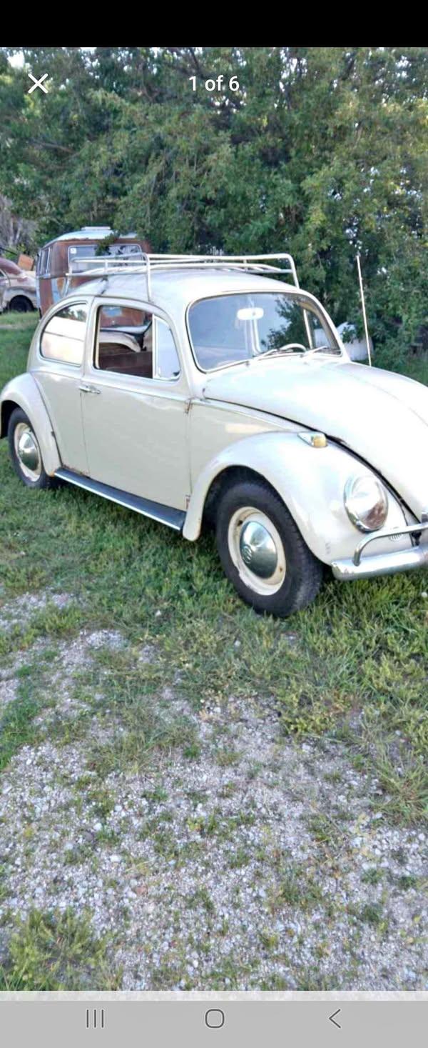 1965 Volkswagen Beetle - Hatchback 2D