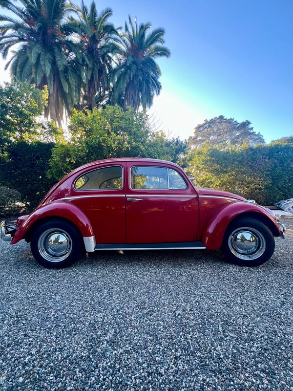 1964 Volkswagen Beetle