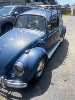 1965 Volkswagen Beetle - Classic