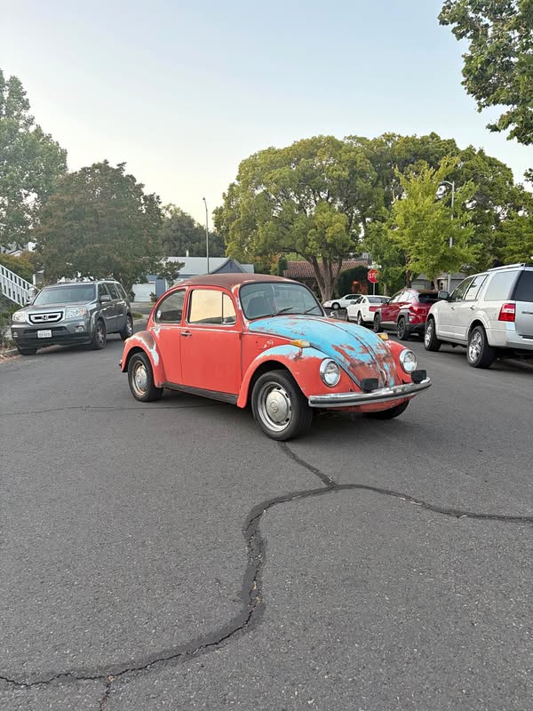 1973 Volkswagen Beetle