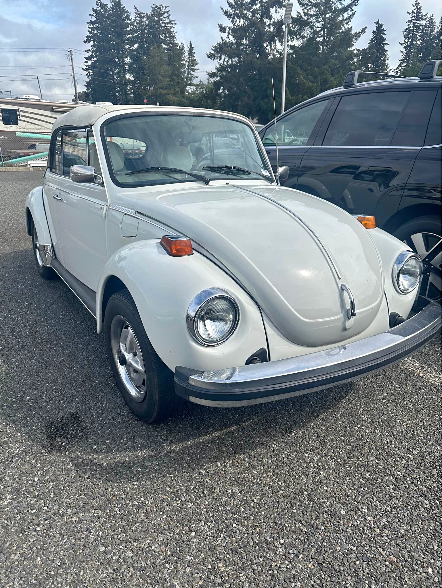 1979 Volkswagen Beetle