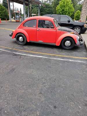 1974 Volkswagen Beetle - 1.8T Classic Hatchback 2D