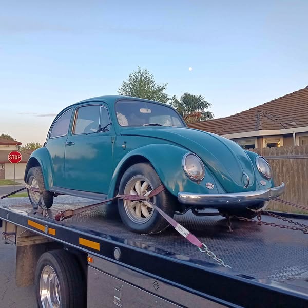 1966 Volkswagen Beetle - 1.8T Classic Hatchback 2D