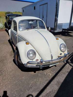 1965 Volkswagen Beetle - Stainless