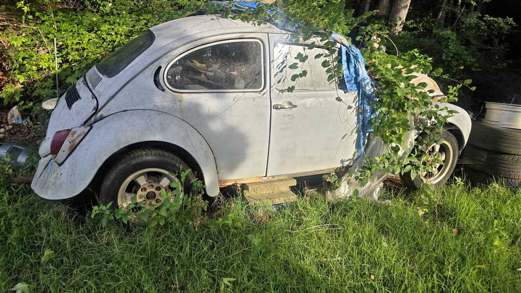 1971 Volkswagen Beetle - Hatchback 2D