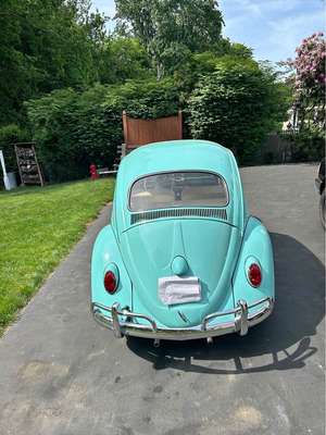 1963 Volkswagen Beetle - #PinkBeetle Hatchback 2D