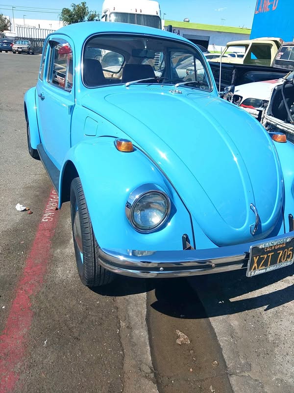 1969 Volkswagen Beetle - #PinkBeetle Hatchback 2D