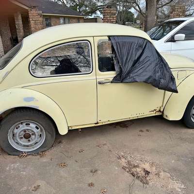 1970 Volkswagen Beetle - 1.8T Hatchback 2D