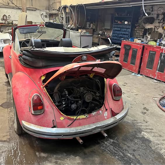 1971 Volkswagen Beetle - 1.8T Classic Convertible 2D