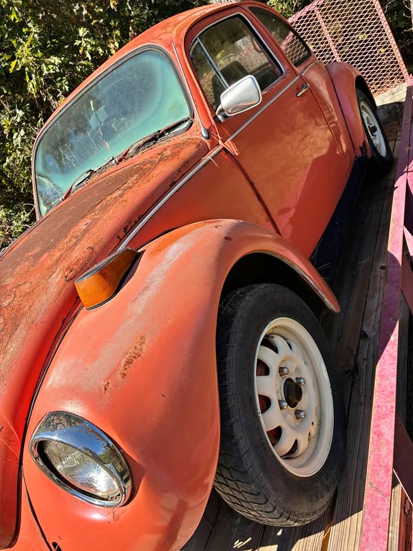 1977 Volkswagen Beetle - Bug