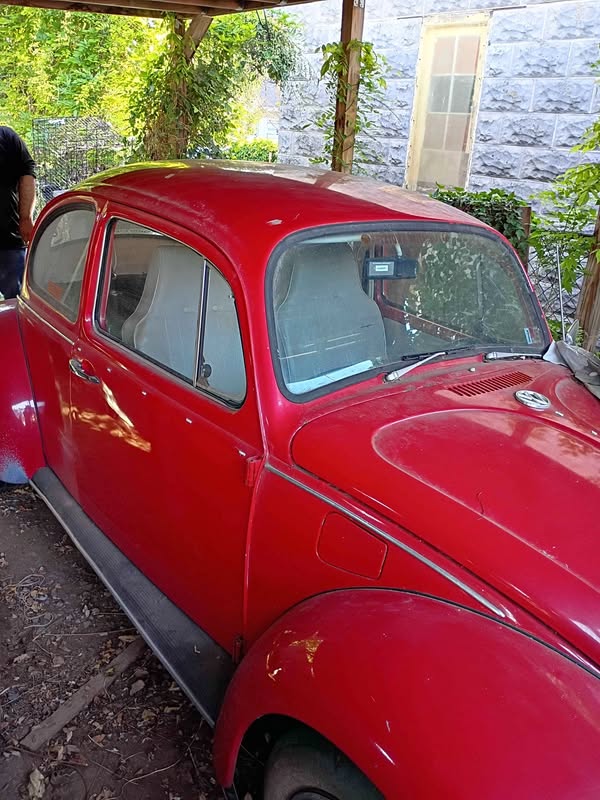1969 Volkswagen Beetle - 1.8T Hatchback 2D
