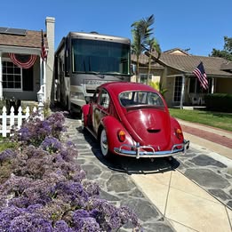 1966 Volkswagen Volkswagen+Beetle