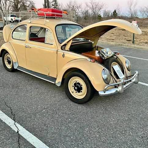 1960 Volkswagen Beetle - 1.8T Classic Hatchback 2D