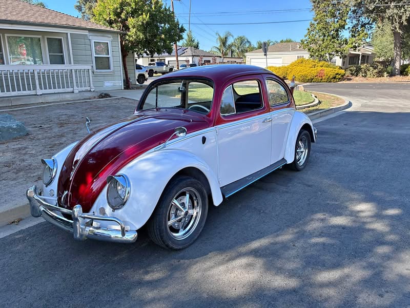1962 Volkswagen Beetle - 1.8T Classic Hatchback 2D
