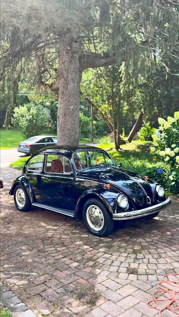1968 Volkswagen Beetle