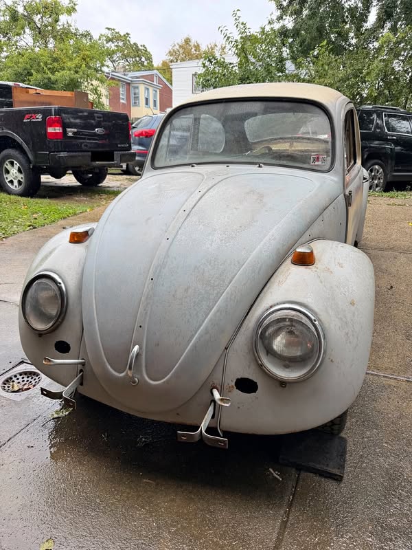 1965 Volkswagen Beetle