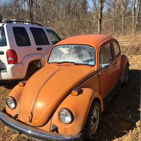 1973 Volkswagen Beetle