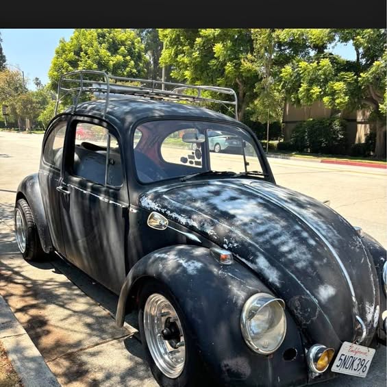 1965 Volkswagen Beetle