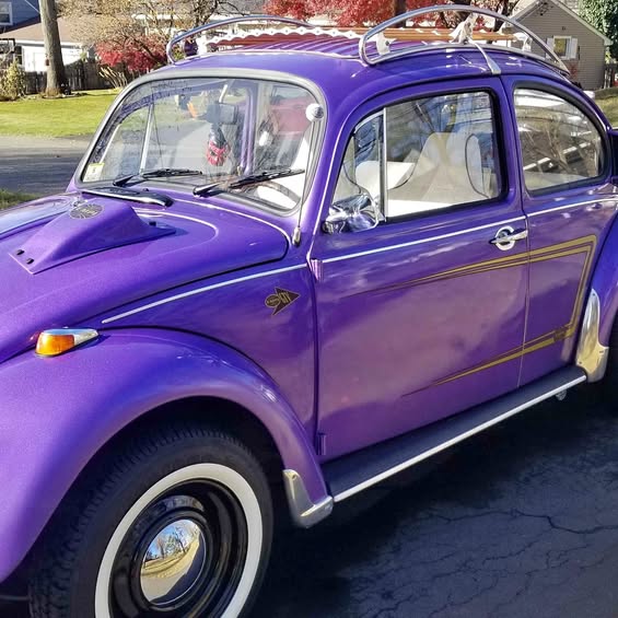 1969 Volkswagen Beetle - Hatchback 2D