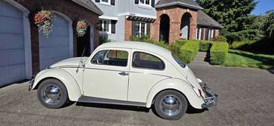1963 Volkswagen Beetle - 1.8T Classic Hatchback 2D