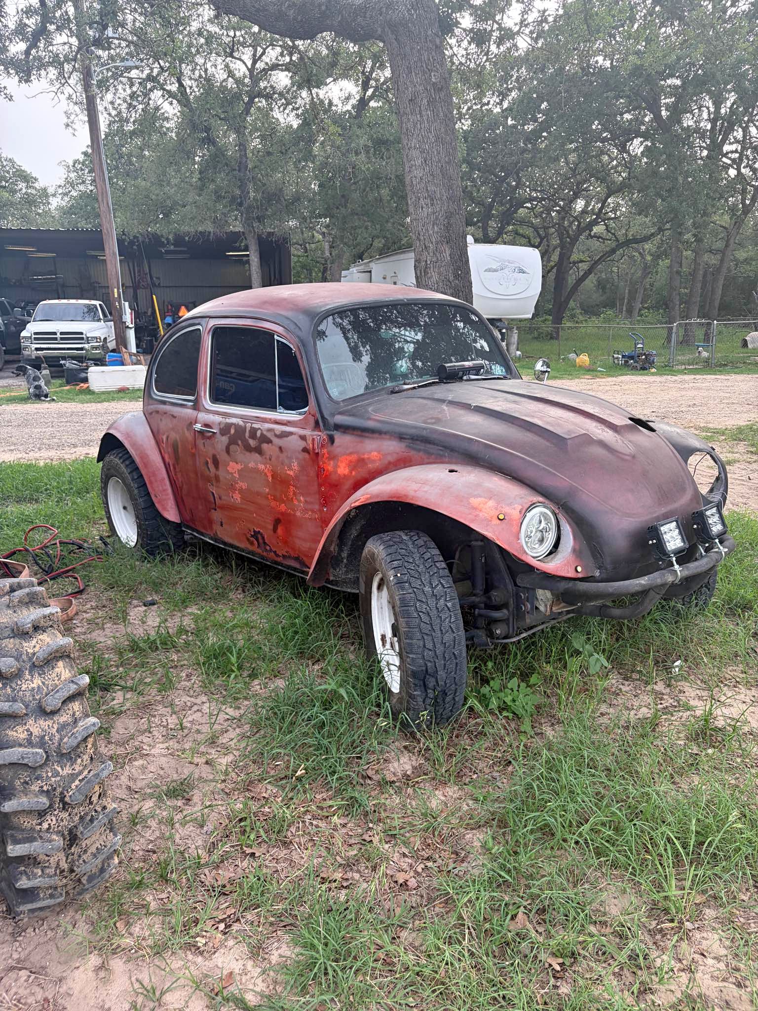 1965 Volkswagen Beetle - Baja bug