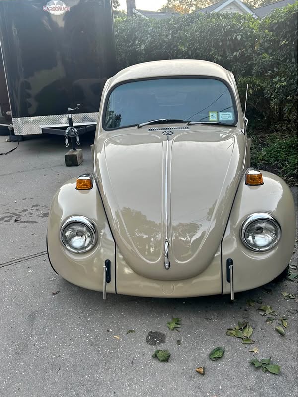 1971 Volkswagen Beetle - #PinkBeetle Hatchback 2D