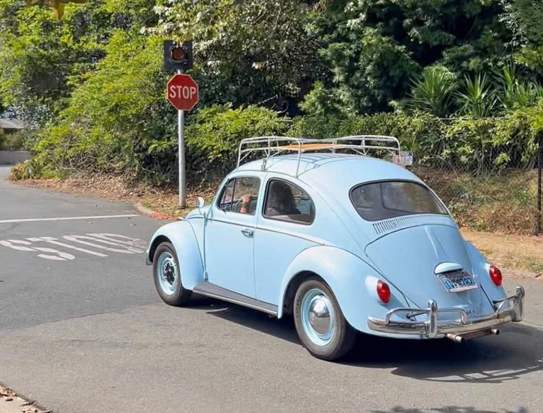 1964 Volkswagen Beetle