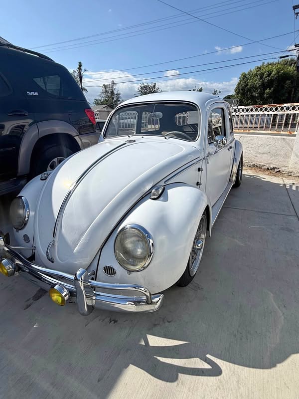 1964 Volkswagen Beetle