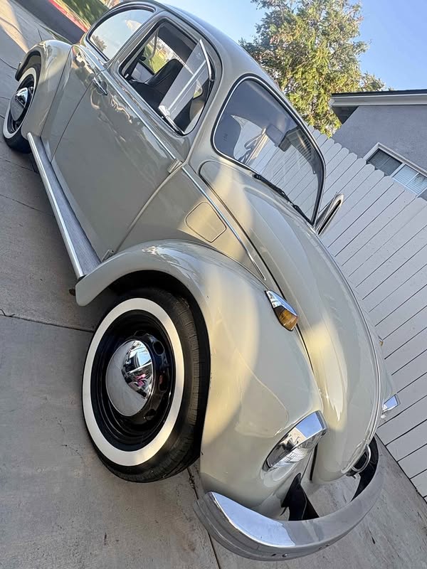1969 Volkswagen Beetle - Hatchback 2D