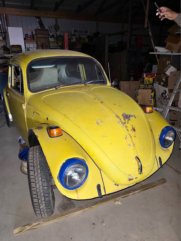 1970 Volkswagen Beetle - Beetle Bugs