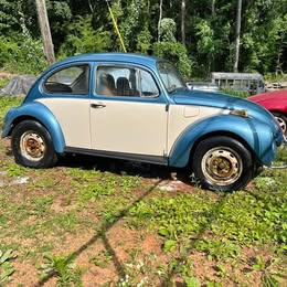 1965 Volkswagen Beetle