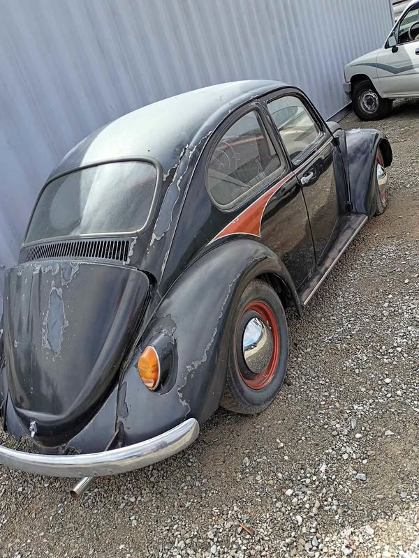 1966 Volkswagen Beetle - 1.8T Hatchback 2D