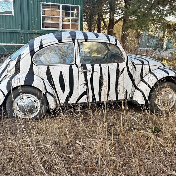 1969 Volkswagen Beetle - Other