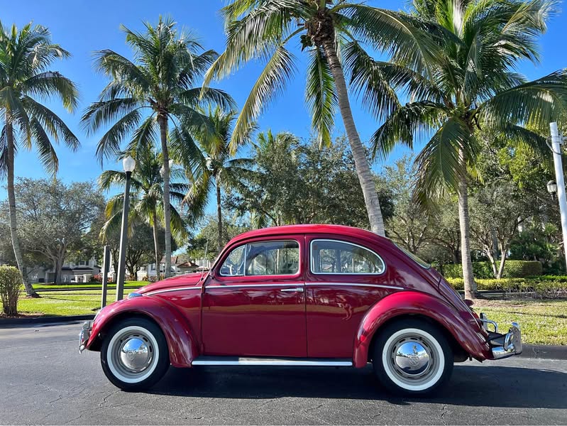 1969 Volkswagen Beetle