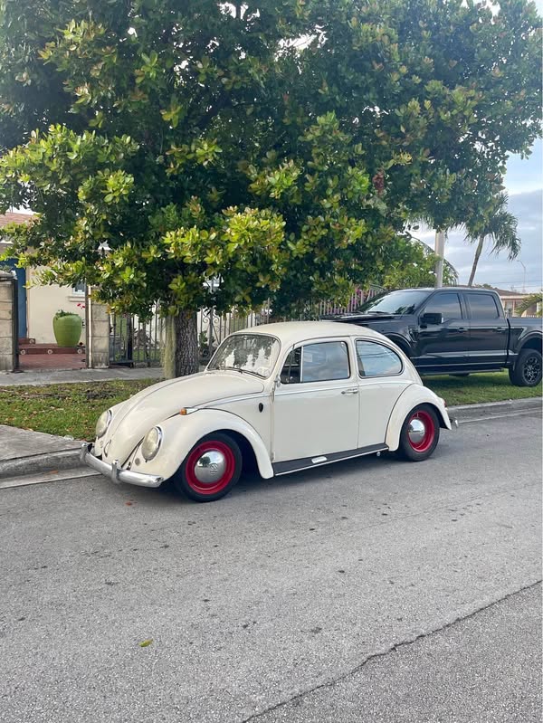 1965 Volkswagen Beetle - Bug