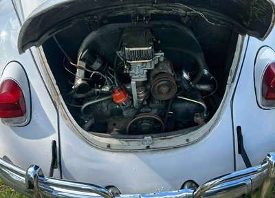 1969 Volkswagen Beetle - Hatchback 2D