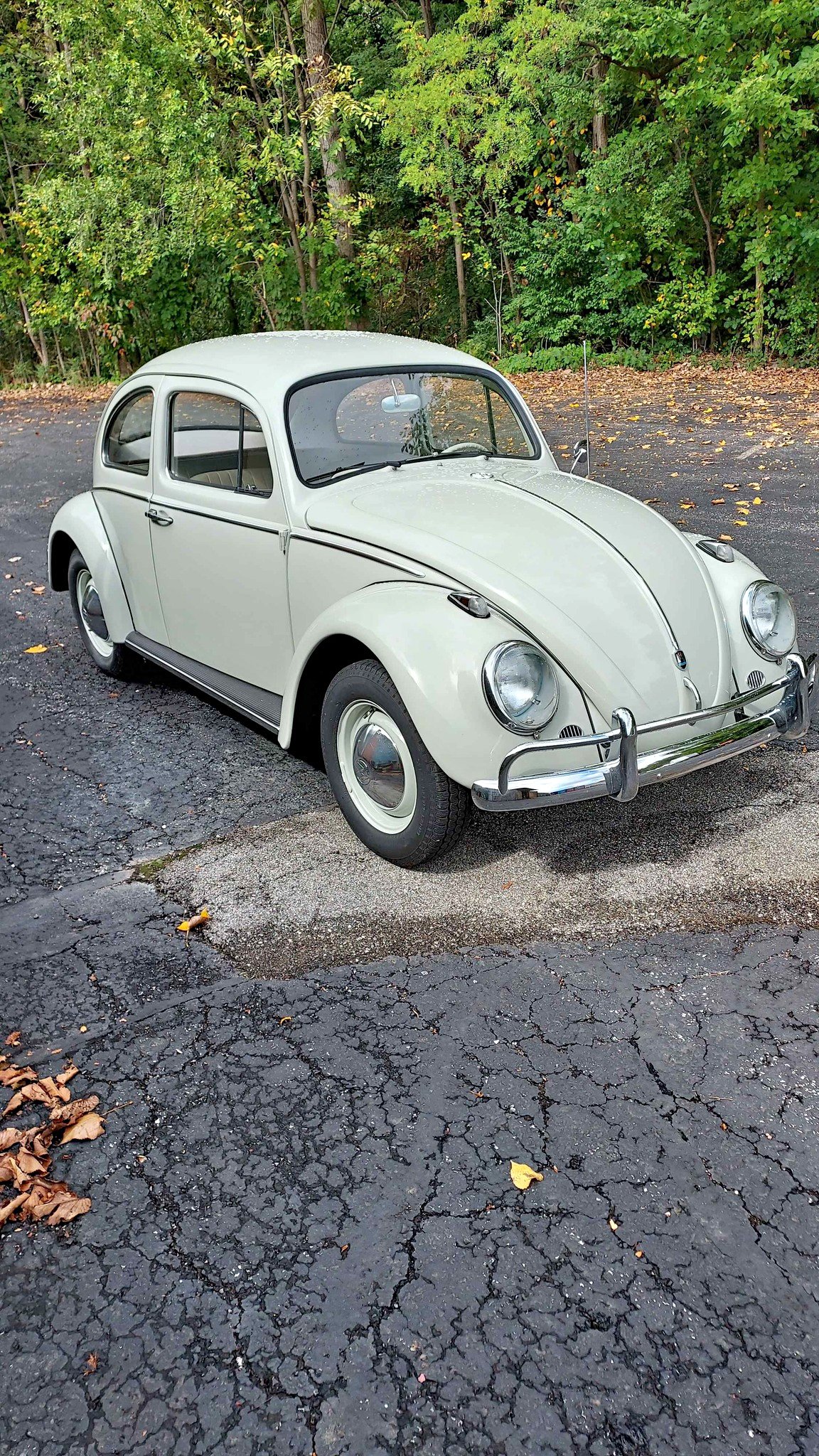 1962 Volkswagen Beetle