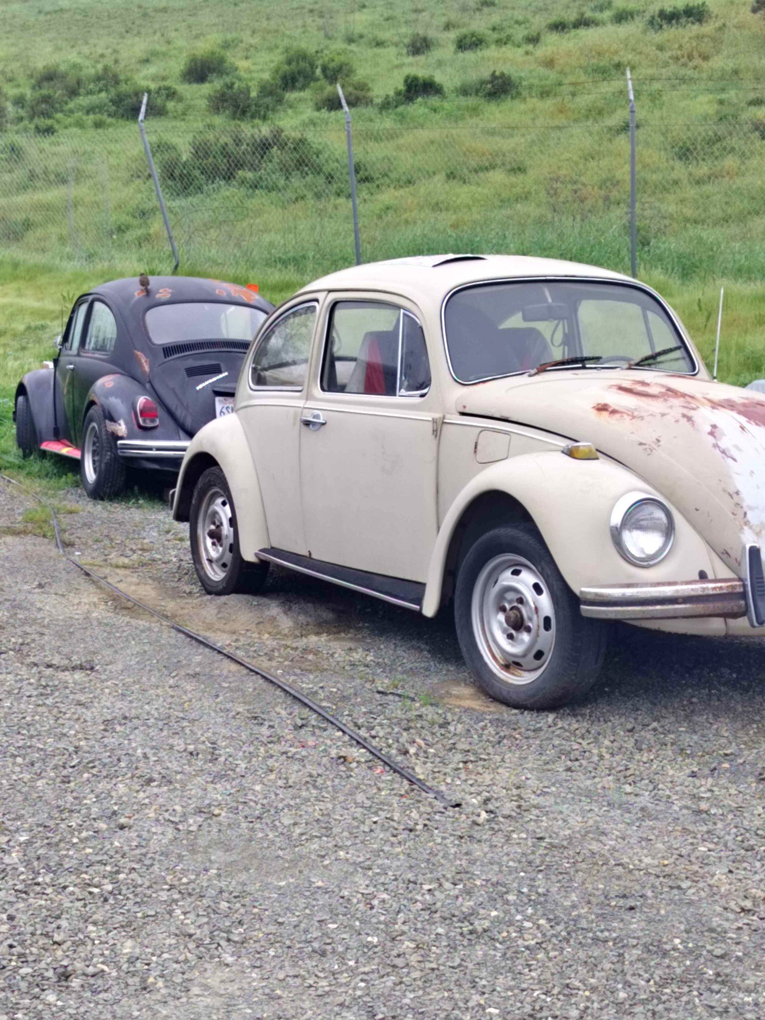 1970 Volkswagen Beetle - 2.0T S Hatchback 2D