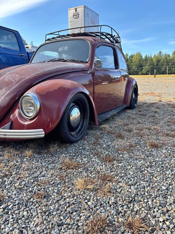 1972 Volkswagen Beetle - 1.8T Wolfsburg Edition Hatchback 2D