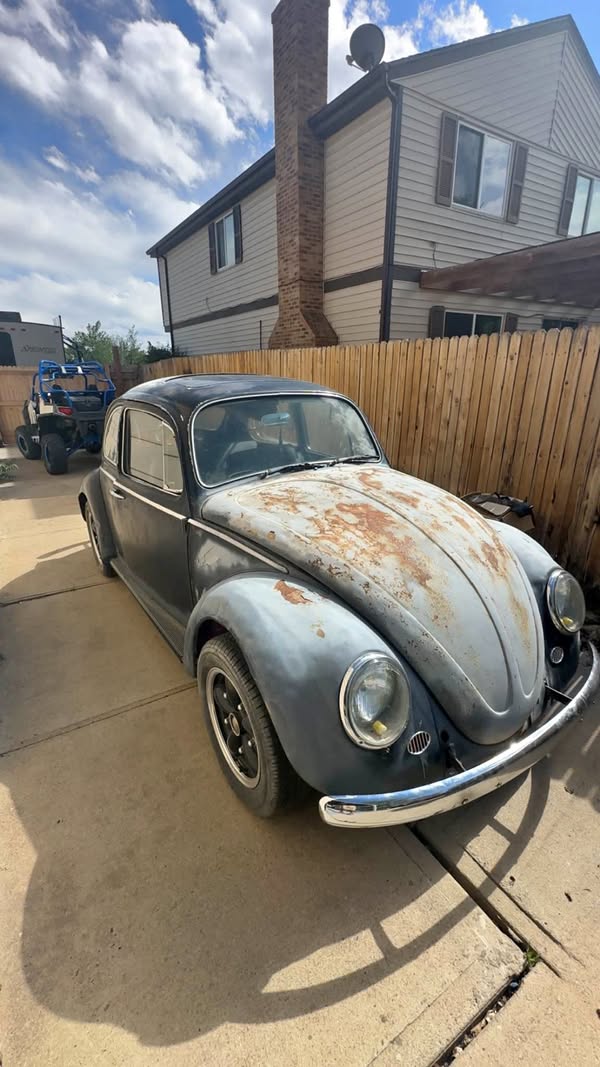 1966 Volkswagen Beetle
