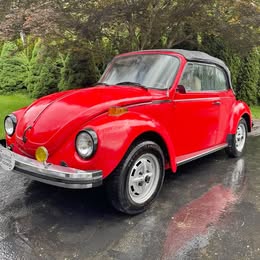 1979 Volkswagen Beetle