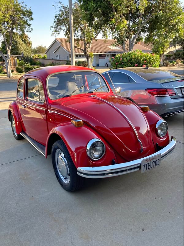 1970 Volkswagen Beetle - Standard Beetle