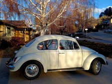1969 Volkswagen Beetle - Classic