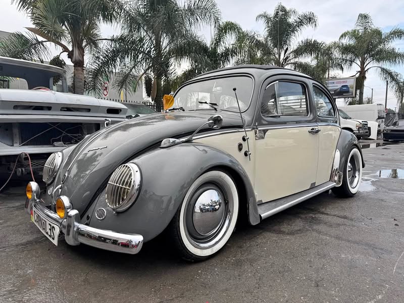 1964 Volkswagen Beetle - 1.8T Classic Hatchback 2D